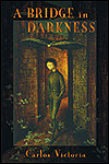 A Bridge in Darkness