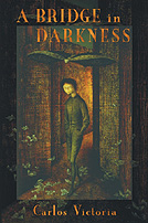A Bridge in Darkness
